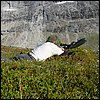 20030717_09_Itissoq_Rasmus_skyder.jpg