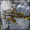 20030723_02_Ugpik_ulk.jpg