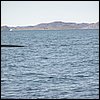 20030807_24_Hvalspotning.jpg